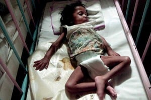 ELLITORAL_233799 |  Archivo El Litoral