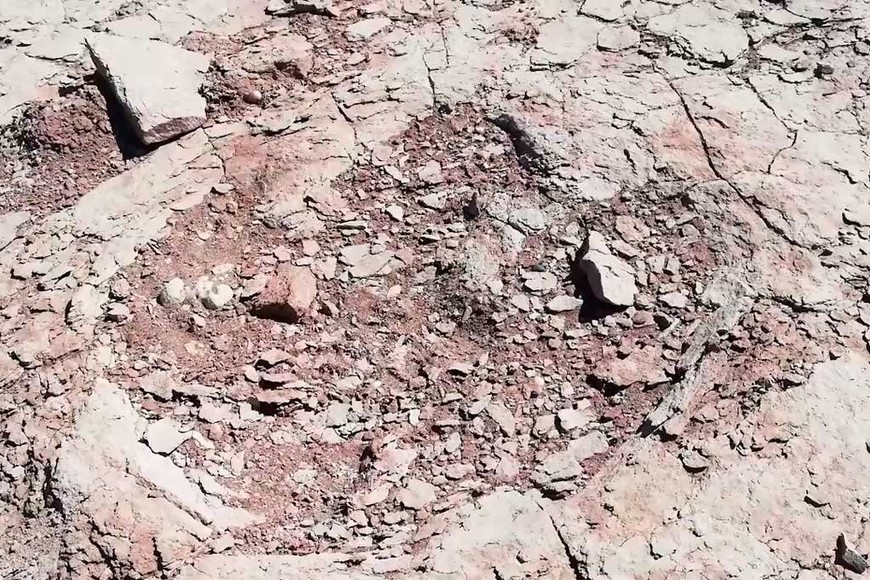 ELLITORAL_331299 |  Gentileza