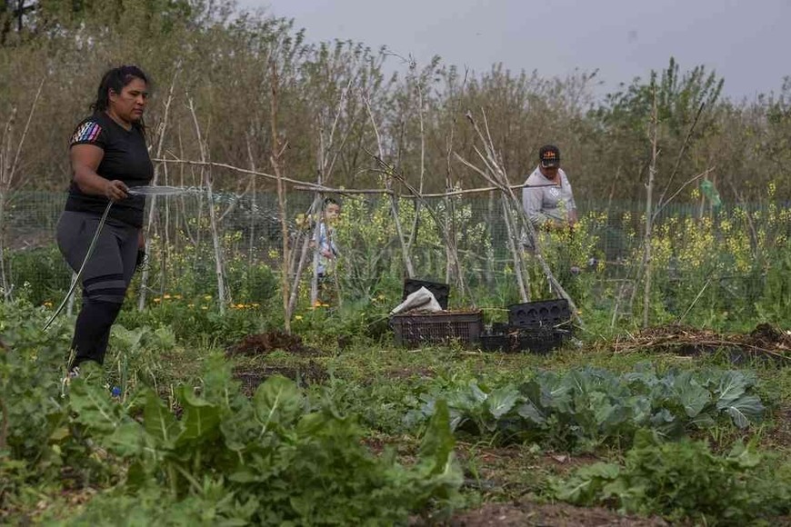 ELLITORAL_328330 |  Gentileza