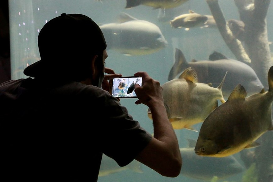 ELLITORAL_367736 |  Gentileza