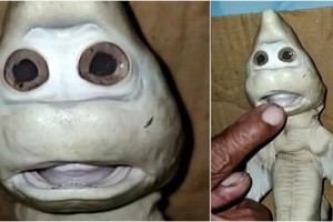 ELLITORAL_358502 |  Gentileza