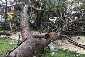 ELLITORAL_364260 |  El Litoral