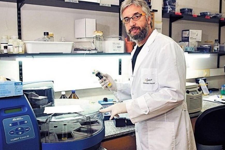 ELLITORAL_314315 |  Gentileza Infant Fernando Polack, infectólogo de Infant.