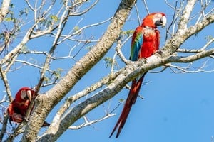 ELLITORAL_362869 |  Agencia