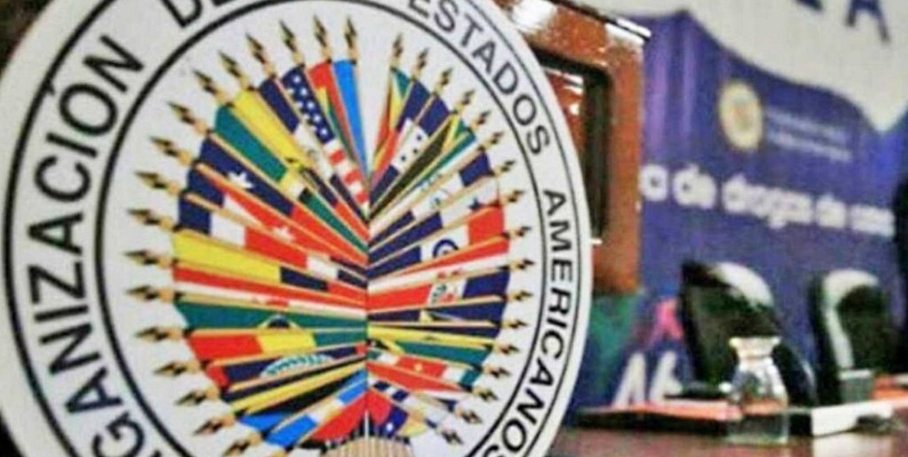 26 países piden en la OEA elecciones "urgentes" en Bolivia