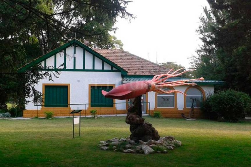 ELLITORAL_358485 |  Gentileza