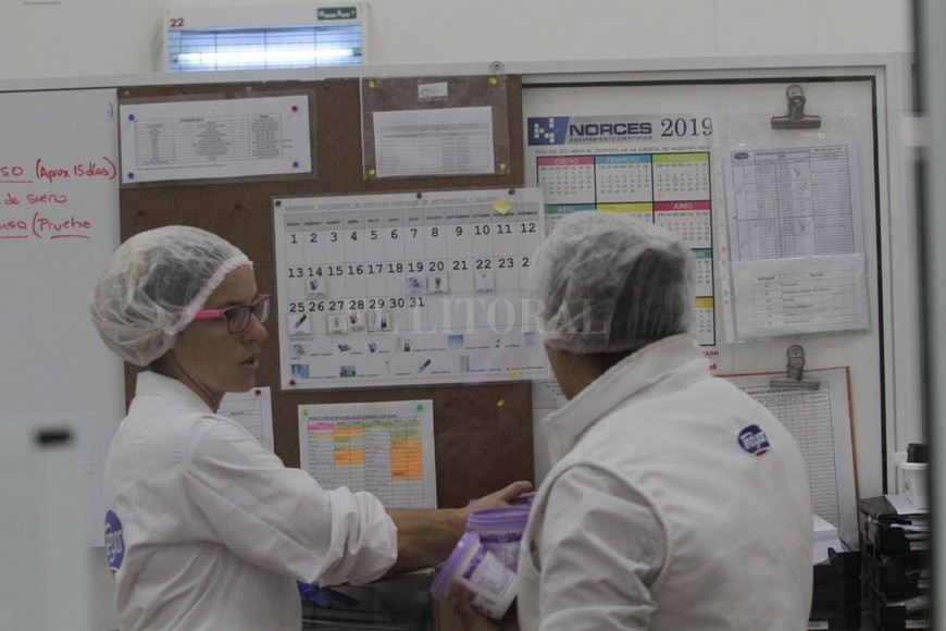 ELLITORAL_276119 | Mauricio Garín