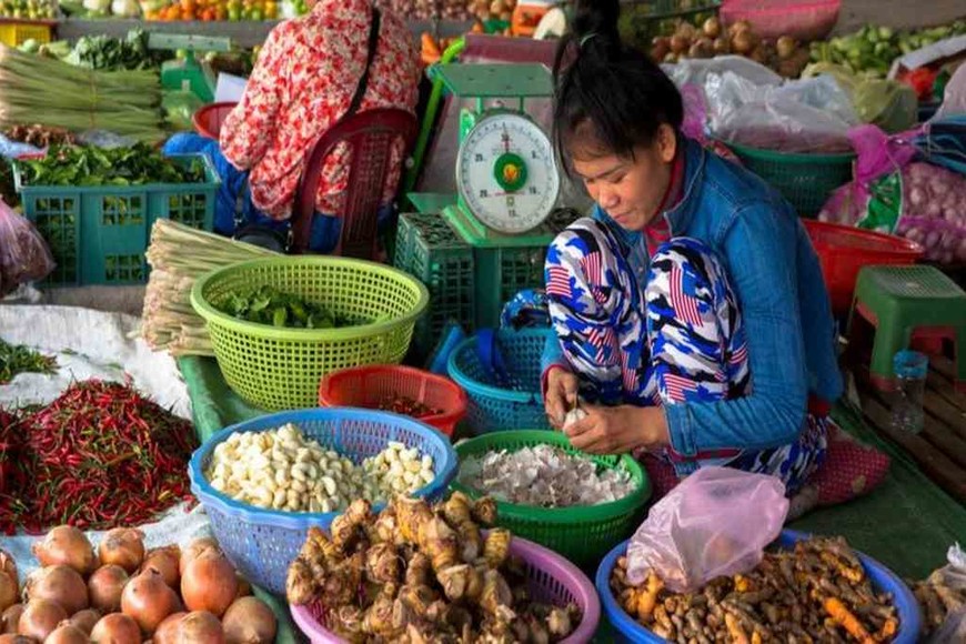 ELLITORAL_350073 |  Agencias El mercado de la mañana en Battambang, Camboya, sería un asunto sin complicaciones, excepto por sus murciélagos frugívoros.