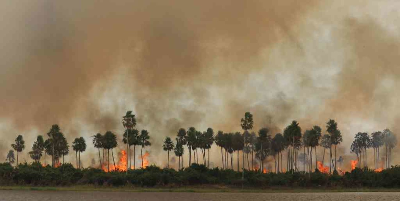El Pantanal alcanza un nivel récord de incendios de la historia
