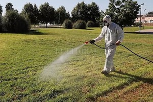 ELLITORAL_319865 |  EFE