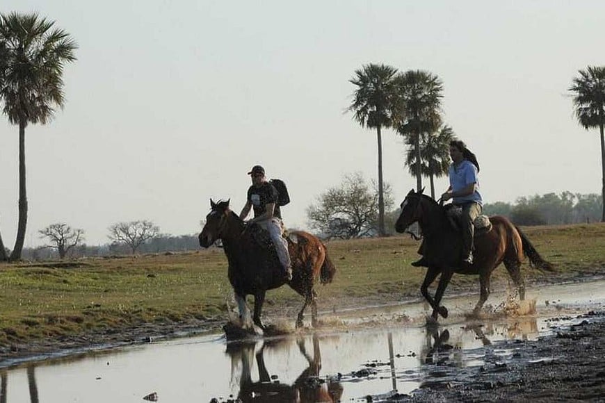 ELLITORAL_366020 |  Gentileza