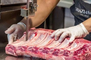 ELLITORAL_362725 |  Gentileza