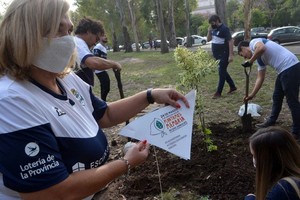 ELLITORAL_365033 |  Gentileza