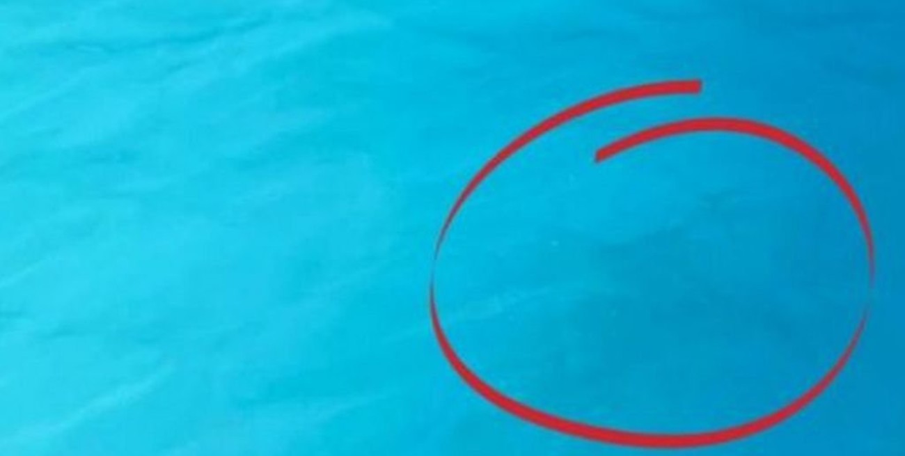 "No a los niños con traje de baño azul": la campaña de concientización australiana contra los ahogamientos