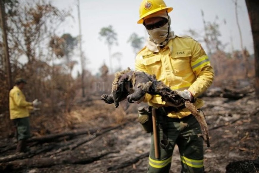 ELLITORAL_319134 |  Reuters