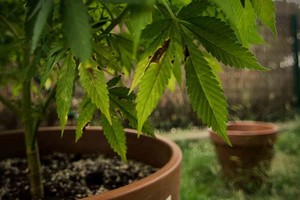 ELLITORAL_357480 |  Imagen ilustrativa