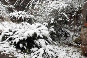 ELLITORAL_320429 |  Instagram La cumbrecita, provincia de Córdona