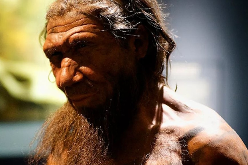 ELLITORAL_356403 |  Captura de pantalla Hombre Denisovano - reconstrucción digital