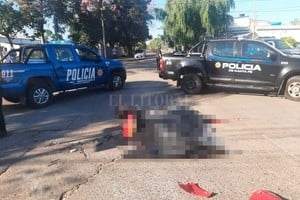 ELLITORAL_361722 |  El Litoral