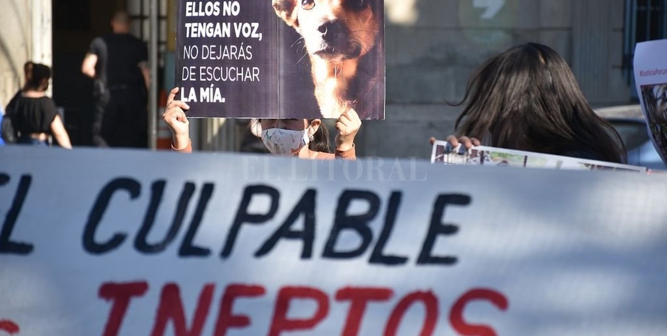 Imputaron por "imprudencia, negligencia e inobservancia" a los dueños de los perros que habrían matado a Diego Román