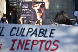 Manuel Fabatia Manifestantes en defensa de los animales.
