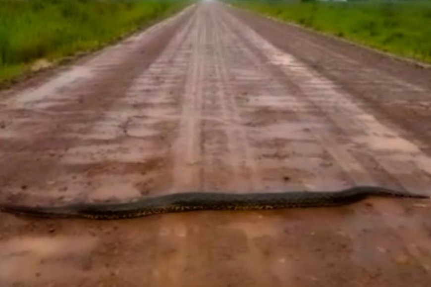 ELLITORAL_352647 | Gentileza