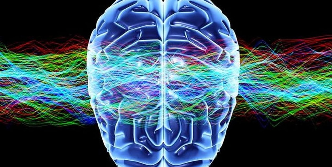 Androginia cerebral: qué es y qué beneficios podría tener