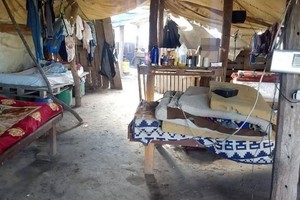 ELLITORAL_363505 |  Gentileza