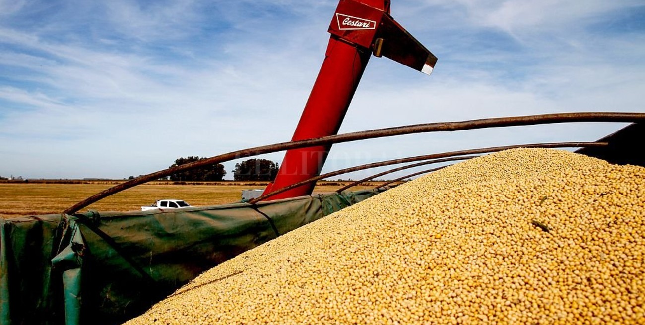 Preocupación de las Bolsas de Cereales y de Comercio del país por la suspensión de los registros de exportación de maíz