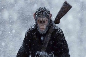 ELLITORAL_274046 |  Gentileza Imagen de la película ?La guerra del planeta de los simios?
