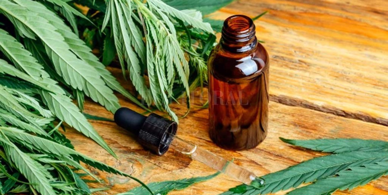 Macame celebró la legalización del  autocultivo de cannabis medicinal
