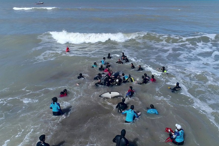 ELLITORAL_262812 |  Prensa Mundo Marino