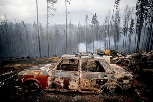 ELLITORAL_362933 |  NA