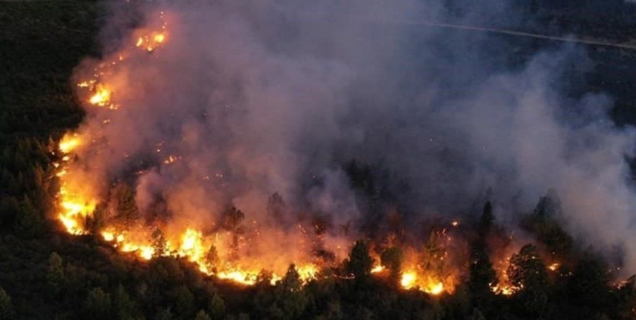 Incendio en El Bolsón: la lluvia trajo alivio pero "la pérdida ambiental es la más grande de la historia"
