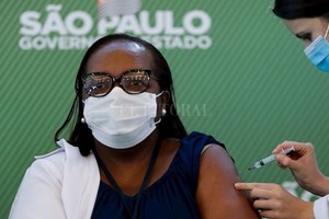 Gentileza La campaña de inmunización corre riesgo en Brasil. Nueve capitales estaduales sufren escasez de inoculantes.