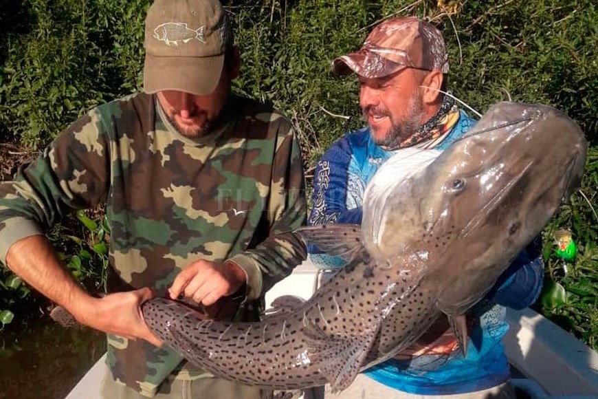 ELLITORAL_355255 |  Gentileza