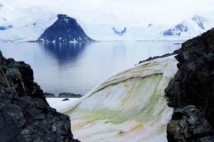 ELLITORAL_303137 |  Gentileza