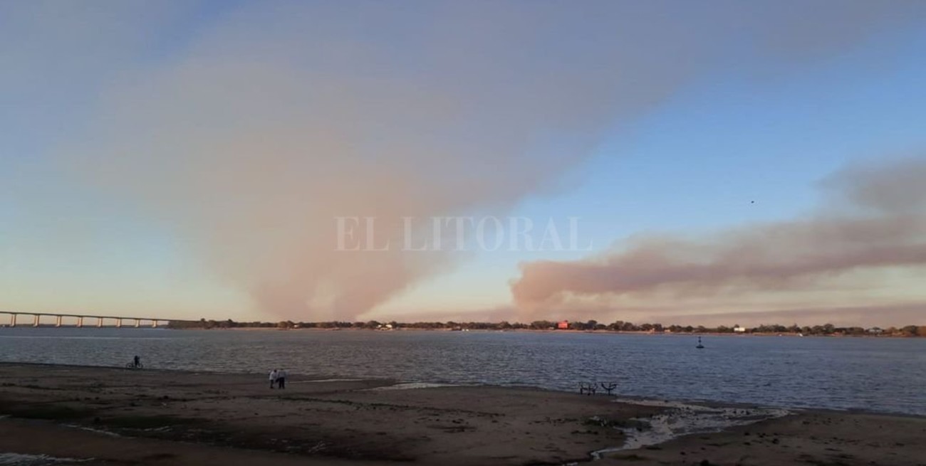 Abogados ambientalistas demandan a Entre Ríos por los incendios en el Delta