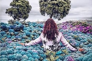 ELLITORAL_341358 |  Gentileza