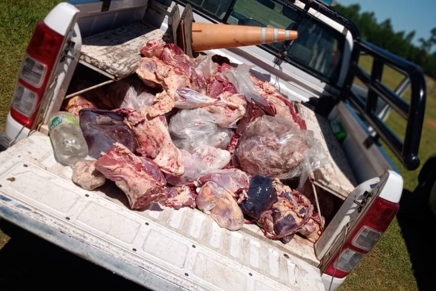 ELLITORAL_359009 |  Gentileza