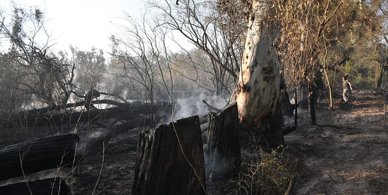 Nueva quema de pastizales en Villa California 
