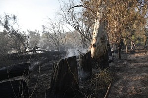 ELLITORAL_320700 |  Manuel Fabatía