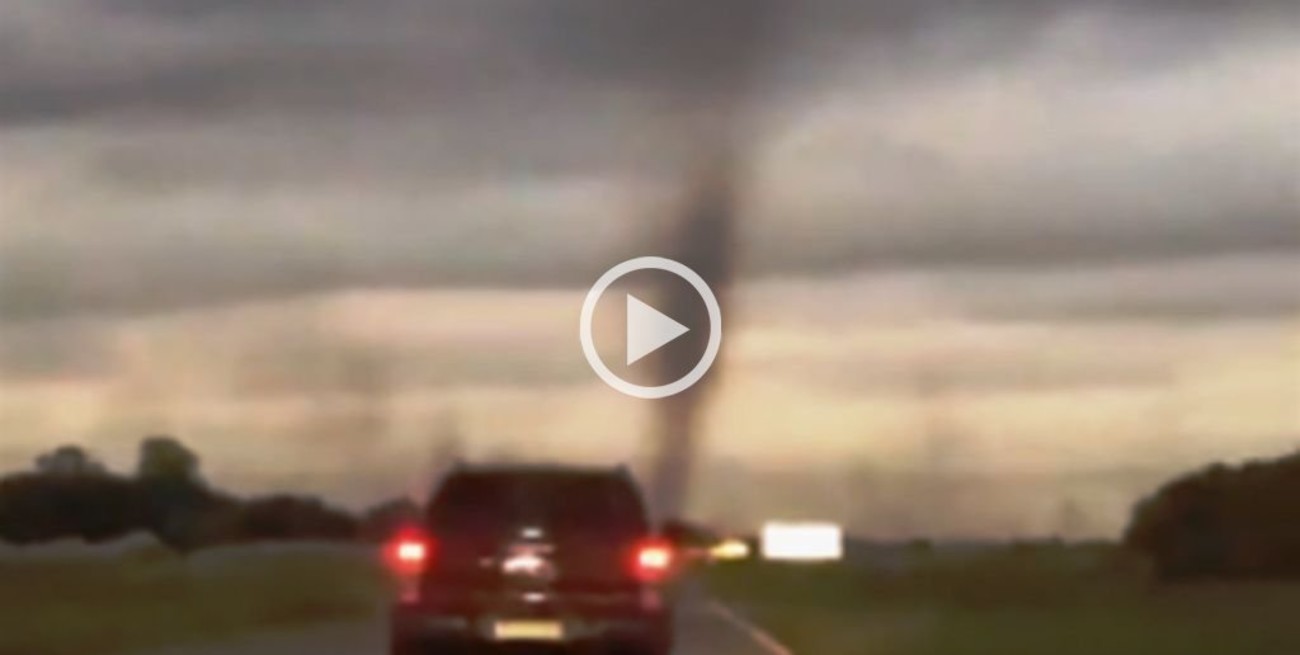 Video: registraron un "tornado de mosquitos" en Pinamar