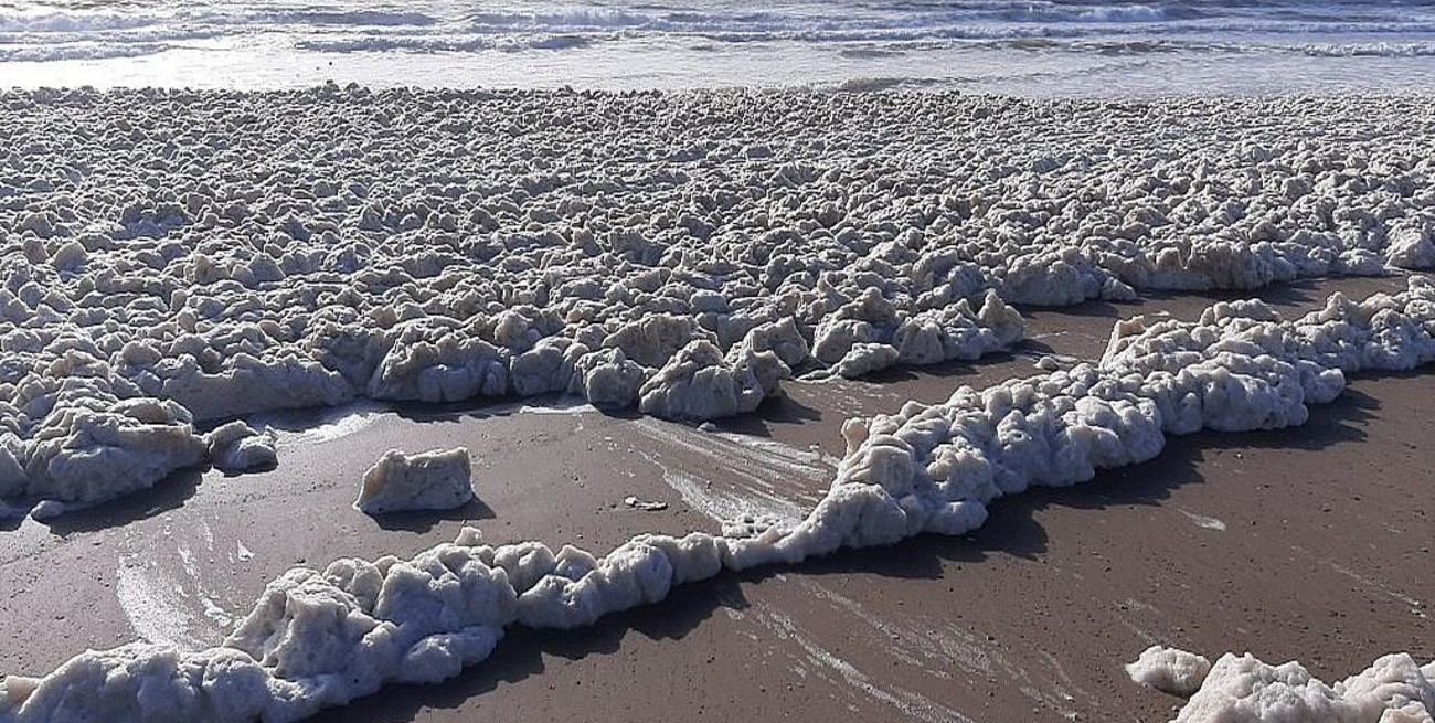 Mar del Plata: las playas amanecieron llenas de espuma