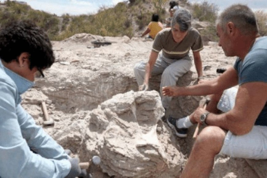 ELLITORAL_351100 |  Captura de pantalla