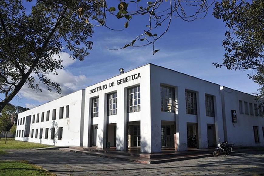 ELLITORAL_352440 |  Gentileza Instituto de Genética- Universidad Nacional de Colombia (UNAL)