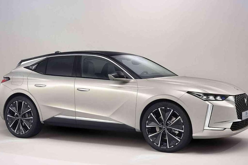 ELLITORAL_364180 |  Gentileza