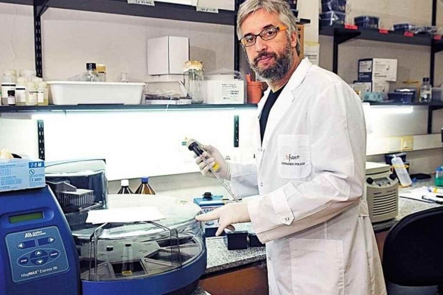 ELLITORAL_314157 |  Gentileza Infant. Fernando Polack, infectólogo de Infant.