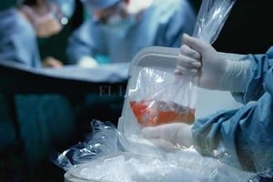 ELLITORAL_342573 |  Archivo El Litoral