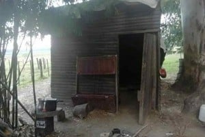 ELLITORAL_303211 |  Gentileza